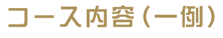 コース内容（一例）